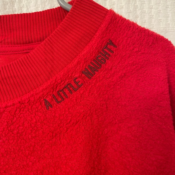 Aerie Crewneck - Picture 3 of 3